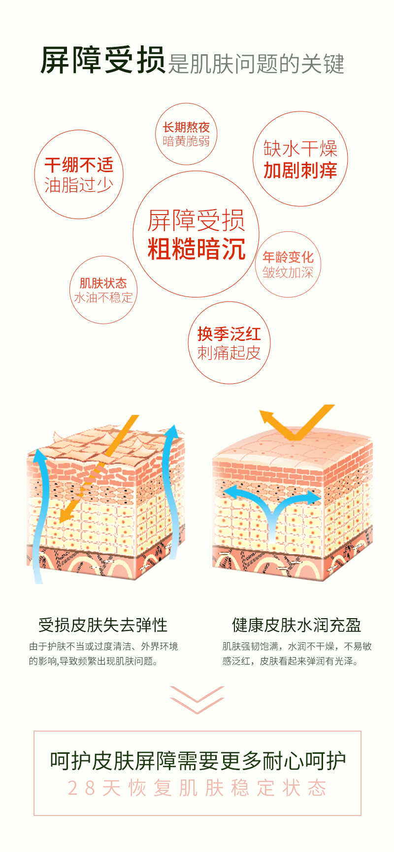 山茶花润颜水详情页-保湿能_04.png